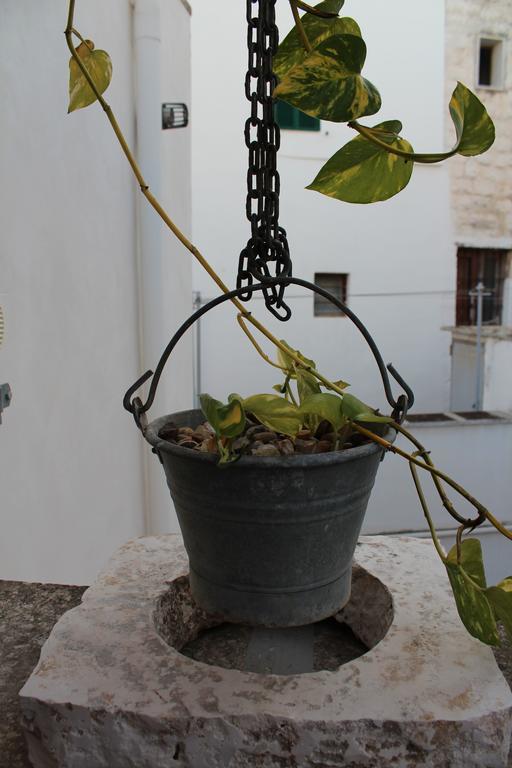 מונופולי Terracielo Guest House מראה חיצוני תמונה